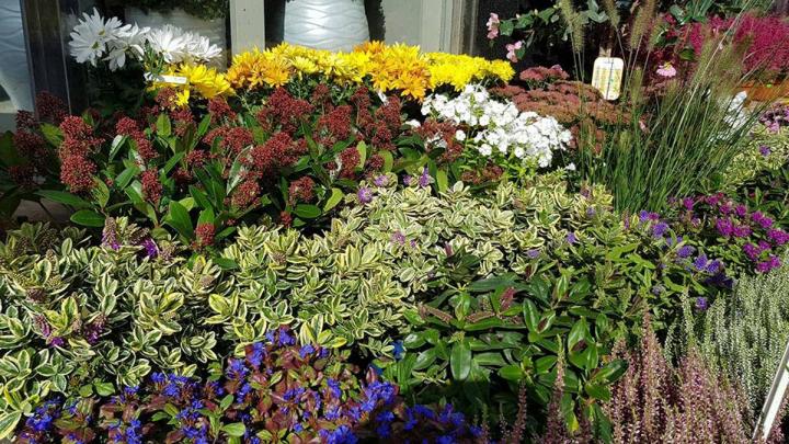 Jardinerie Neuilly-sur-Seine