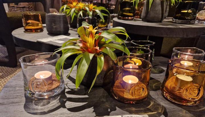 Vente de plantes naturelles à Neuilly-sur-Seine