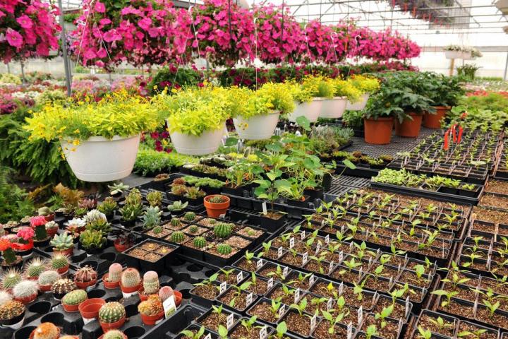 Jardinerie et animalerie à Neuilly-sur-Seine