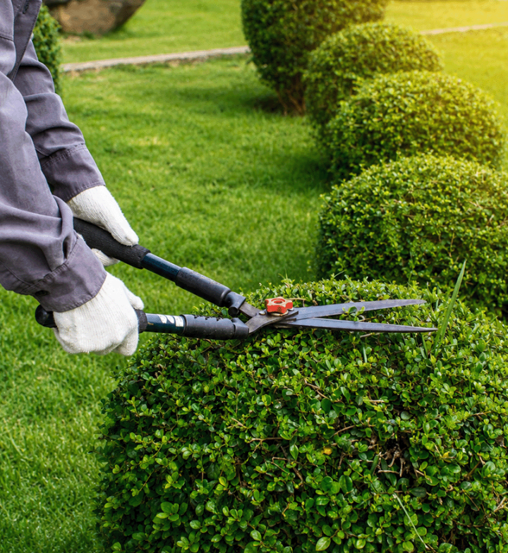 Travaux d'entretien paysager Neuilly-sur-Seine