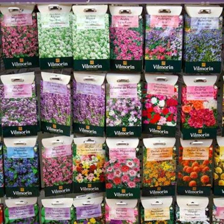 Vente de plantes naturelles à Neuilly-sur-Seine