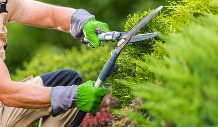 Outillage à main pour entretenir votre jardin à Neuilly-sur-Seine