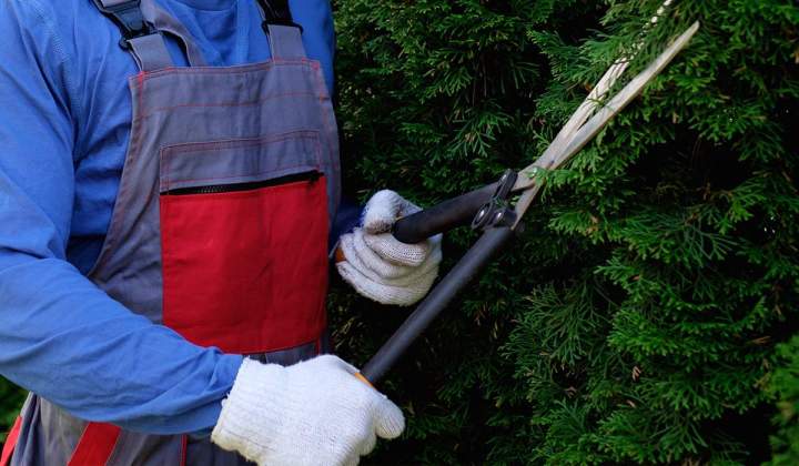 Gants et tabliers pour jardiner en toute sécurité à Neuilly-sur-Seine