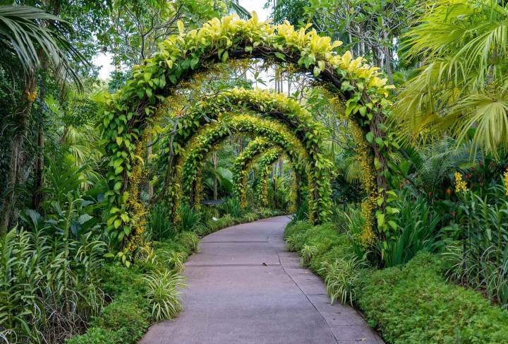 Jardin avec arche végétale Neuilly-sur-Seine