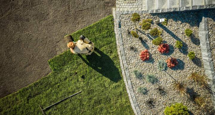Création jardin Neuilly-sur-Seine