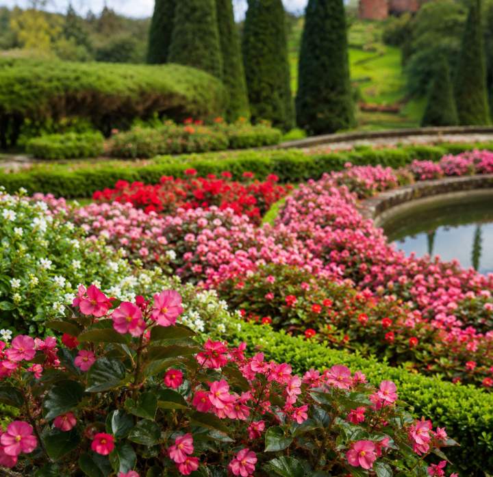 Jardin floral Neuilly-sur-Seine
